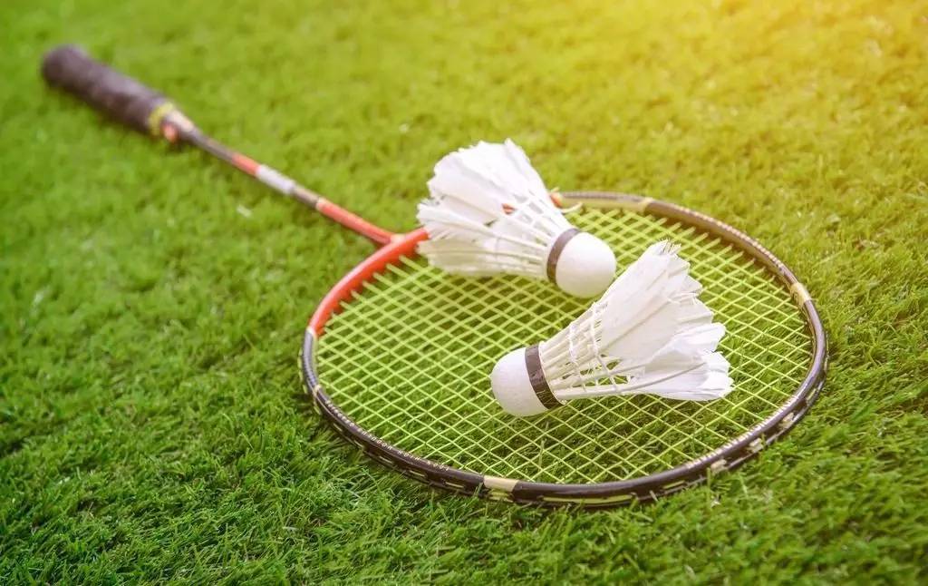 比利時頭號 比利時頭號