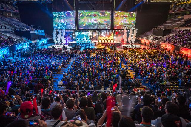 对灰熊的内 对灰熊的内